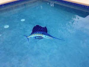 sailfish pool