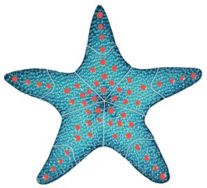 Aqua