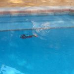 Fun Lobster Pool Mosaic