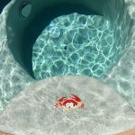 Fun Crab Pool Mosaic