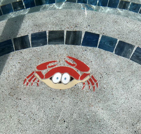 Fun Crab Pool Mosaic