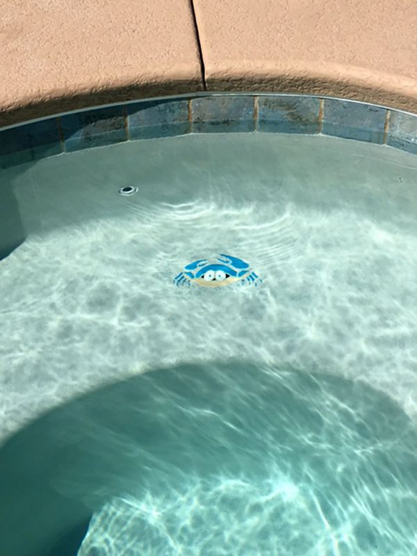 Fun Crab Pool Mosaic