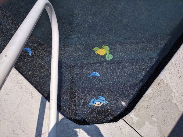 Fun Crab Pool Mosaic