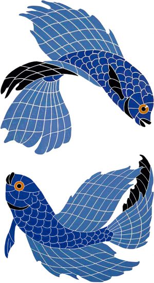 DEG 064BetaFishPair