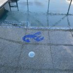 Maine Lobster Pool Mosaic