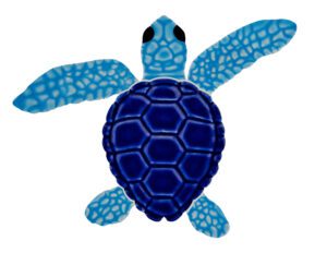 Mini Loggerhead Turtle