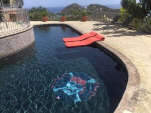 pirate pool emblem 500x500
