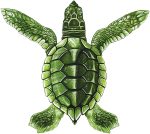 Baby Turtle Pool Mosaic
