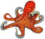 Octopus Pool Mosaic