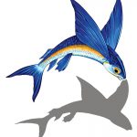 Flying Fish A Pool Mosaic