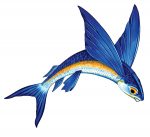 Flying Fish A Pool Mosaic