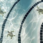 Baby Turtle Pool Mosaic