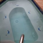 Bottlenose Dolphin B Pool Mosaic