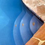 Clown Fish Pool Mosaic