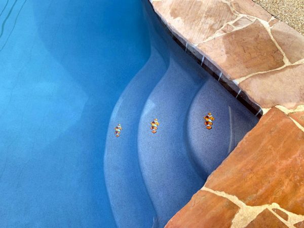 Clown Fish Pool Mosaic