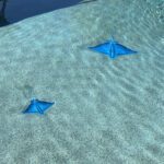 Blue Ray Pool Mosaic