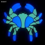 Glow in the Dark Crab Pool Mosaic