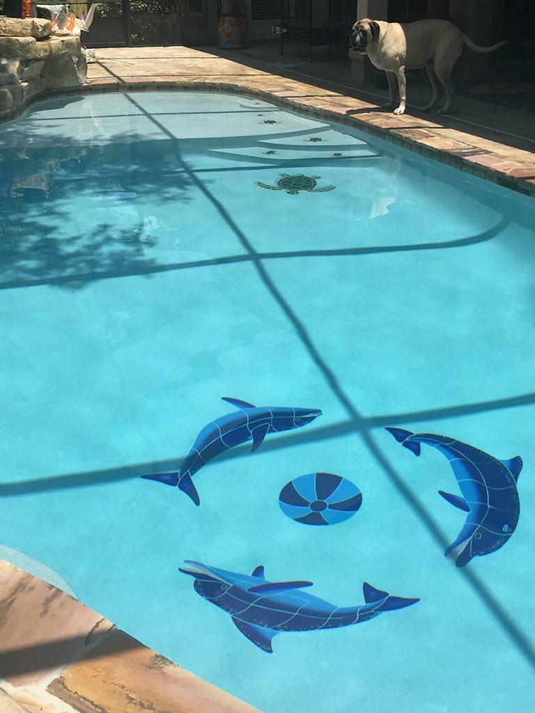 5 Fun Pool Mosaics for a Whimsical Pool