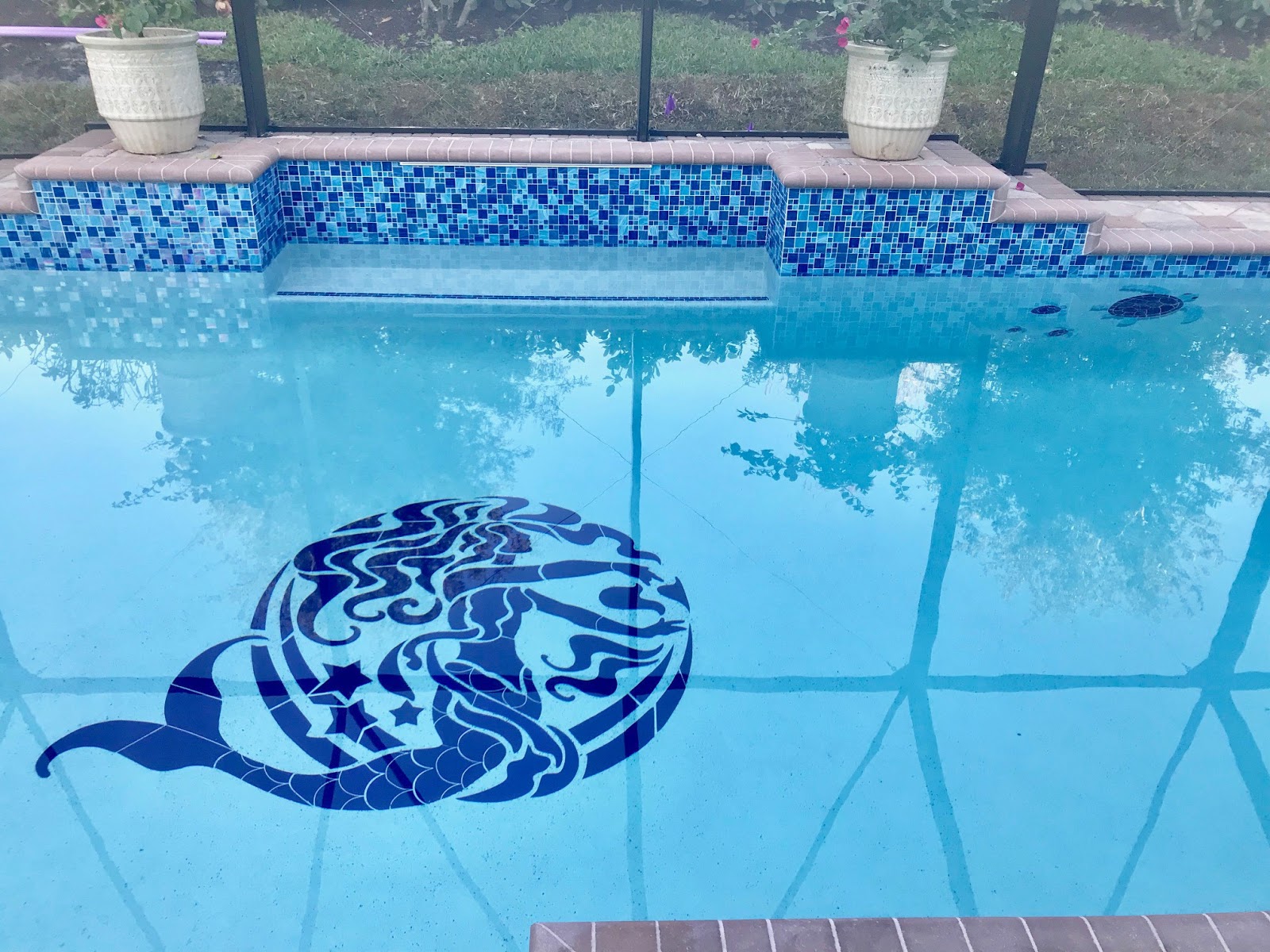 3 Maintenance Tips For Swimming Pool Mosaics