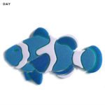 Glow in the Dark Clown Fish Pool Mosaic