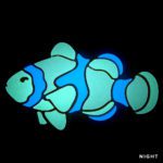 Glow in the Dark Clown Fish Pool Mosaic