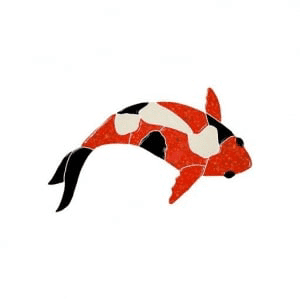 Don’t Be Coy With Koi