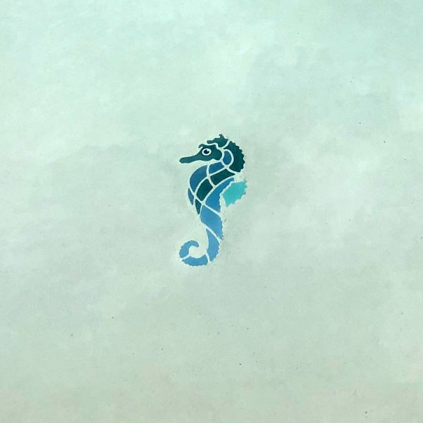 Glow in the Dark Seahorsey Pool Mosaic