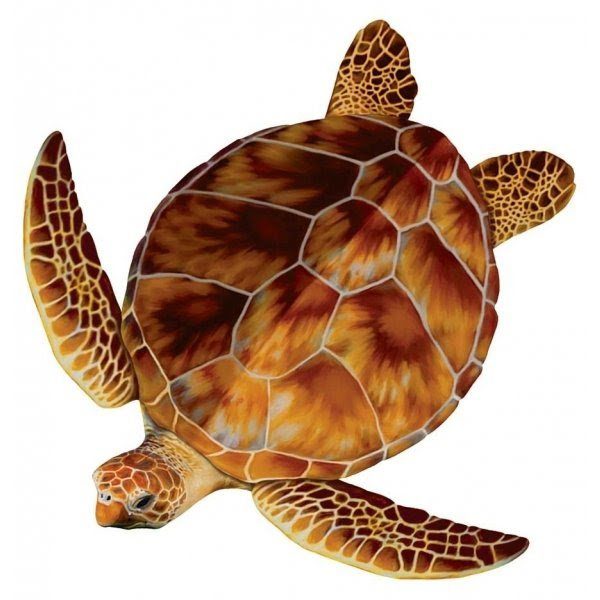 Swim At Your Own Pace: Slow and Steady Wins the Race
