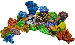 reef mosaics