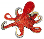 Stuck in Monotonous? Try Octopus Mosaics!