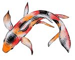 Koi Fish Pool Mosaic