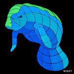 Glow in the Dark Manatee Calf 1 Pool Mosaic