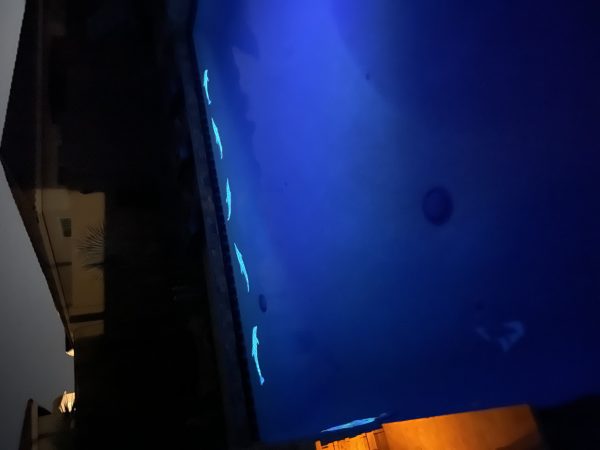 Glow in the Dark Wave Dolphins Pool Mosaic