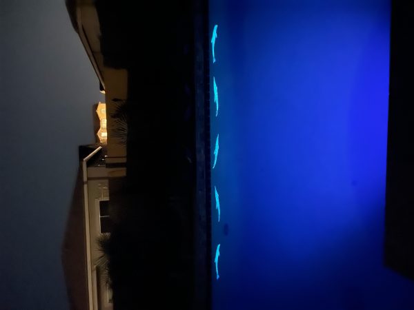 Glow in the Dark Wave Dolphins Pool Mosaic