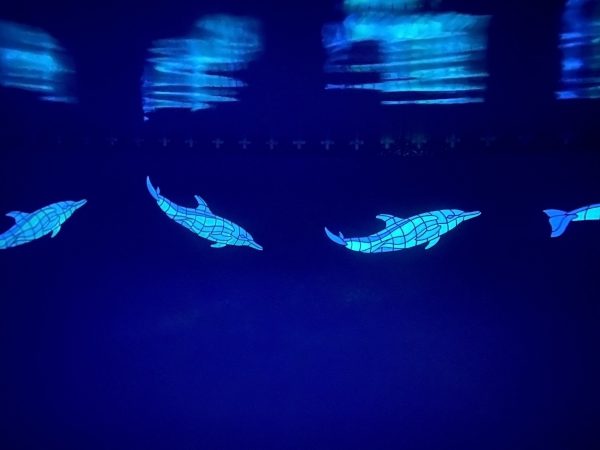 Glow in the Dark Wave Dolphins Pool Mosaic