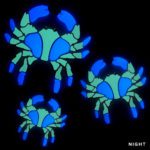Glow in the Dark Crab Family Pool Mosaic