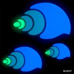 Glow in the Dark Nutmeg Shell Family Pool Mosaic