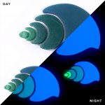 Glow in the Dark Nutmeg Shell Family Pool Mosaic