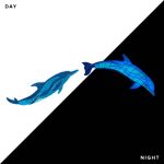 Glow in the Dark Wave Dolphins Pool Mosaic