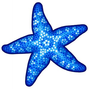 PORC BS Blue Starfish