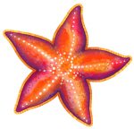 Red Starfish Pool Mosaic
