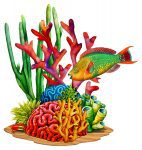 Coral with Parrot Fish Pool Mosaic