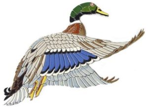 Mallard