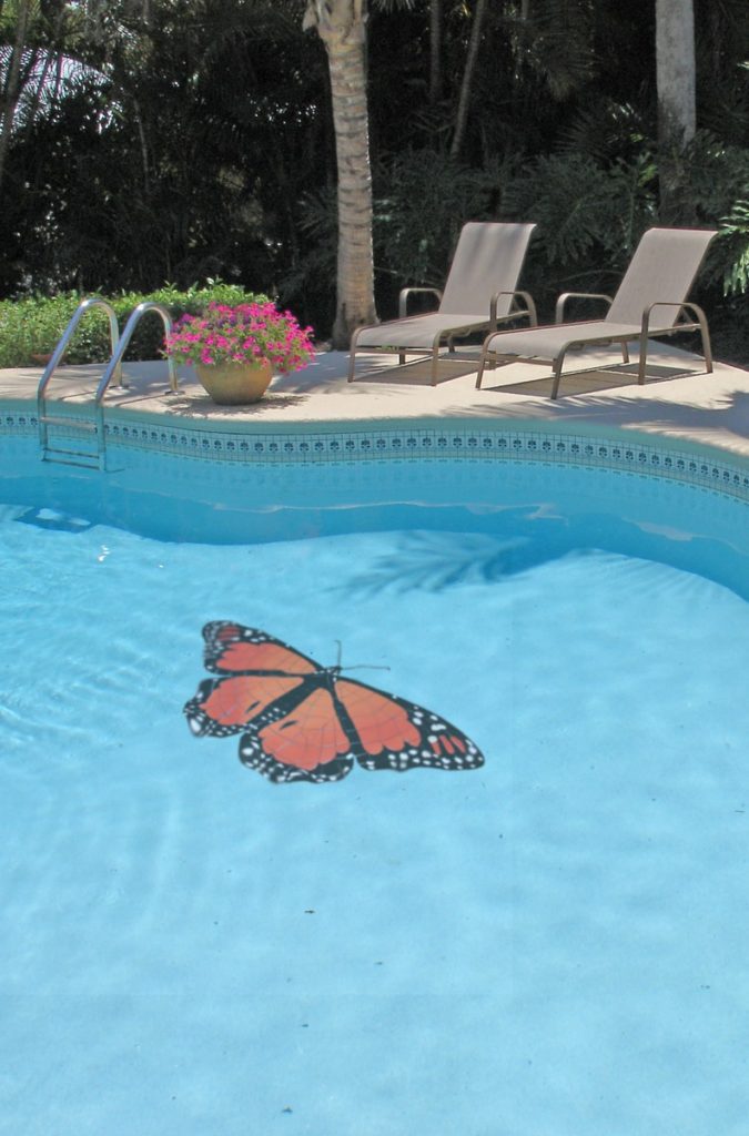 Photo of custom size Monarch Butterfly pool mosaic