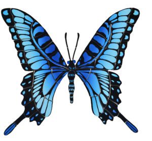 Photo of Ghattas Boulder Butterfly pool mosaic