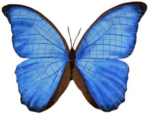 Photo of electric blue butterfly pool mosaic