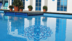 Lotus Blossom Mandala