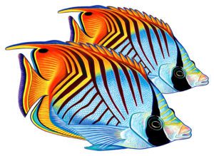 Photo of a pair of threadfin butterflyfish fish mosaics for pool. 