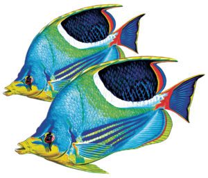 Photo of double saddled butterflyfish fish mosaic for pools