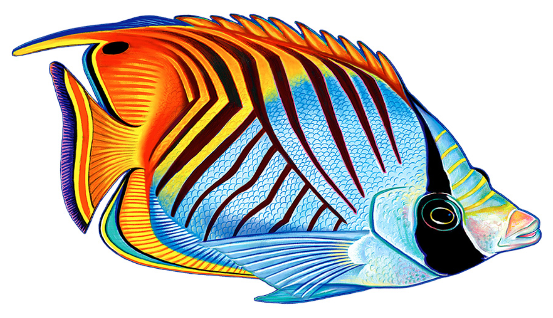 From Threadfin to Saddled: Fish Mosaic Masterpieces